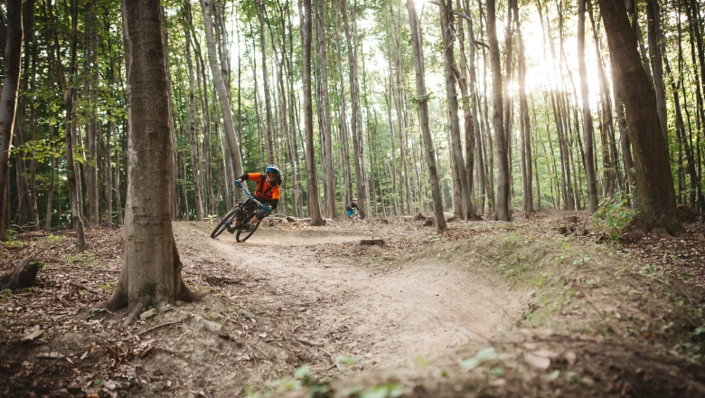 Breiter und leichter Mountainbike-Trail im Wienerwald nahe Wien, ideal für Anfänger und entspannte Fahrten